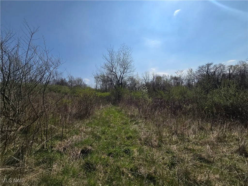 24975 Township Road 444, Warsaw, Ohio,MLS Now Listing ID