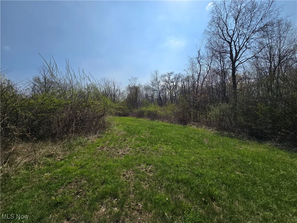 24975 Township Road 444, Warsaw, Ohio,MLS Now Listing ID