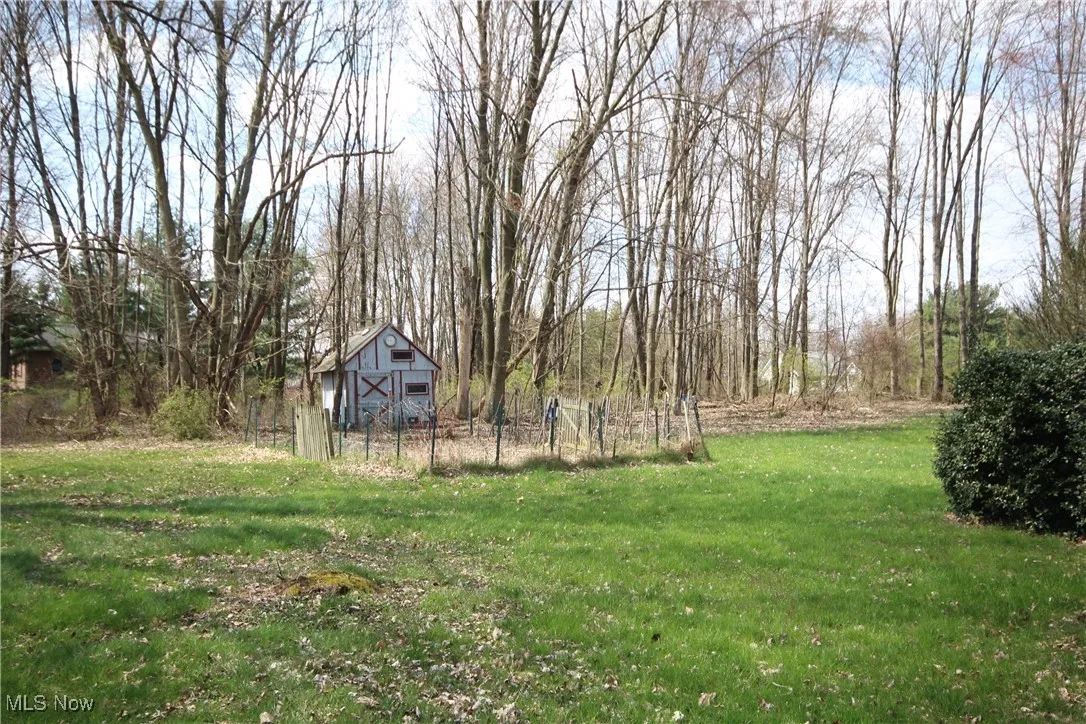 South side yard looking to the back