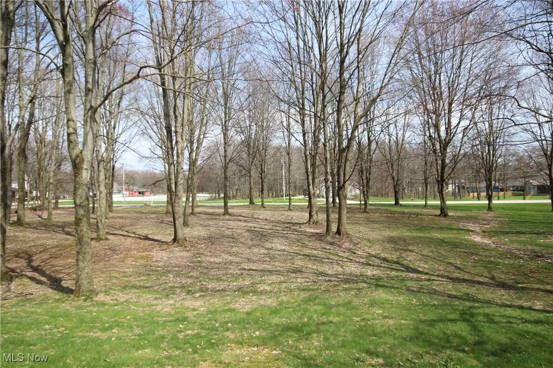 Front yard looking to the road