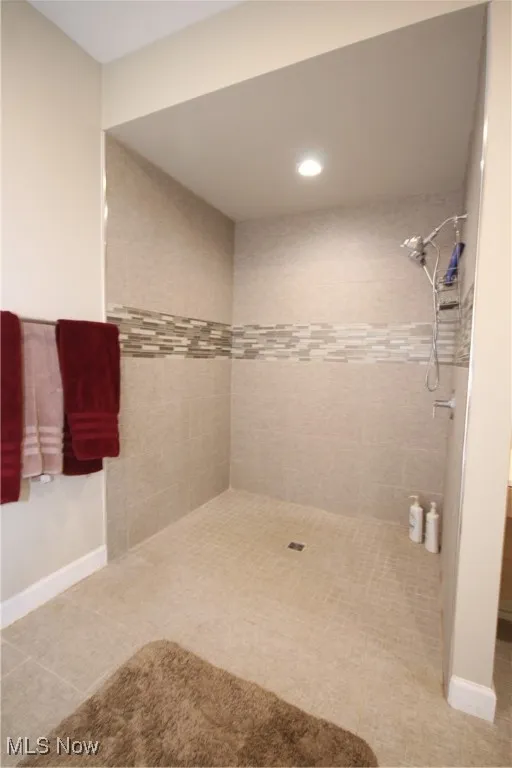 In-law suite with ADA compliant 0 threshold, barrier free, roll-in shower