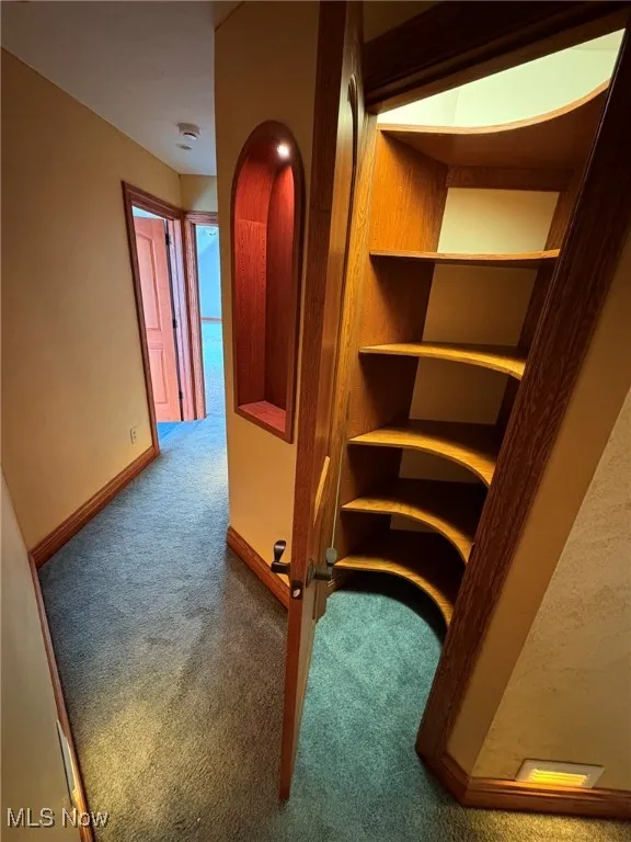 hallway with large linen closet and custom build in shelf with lighting.
