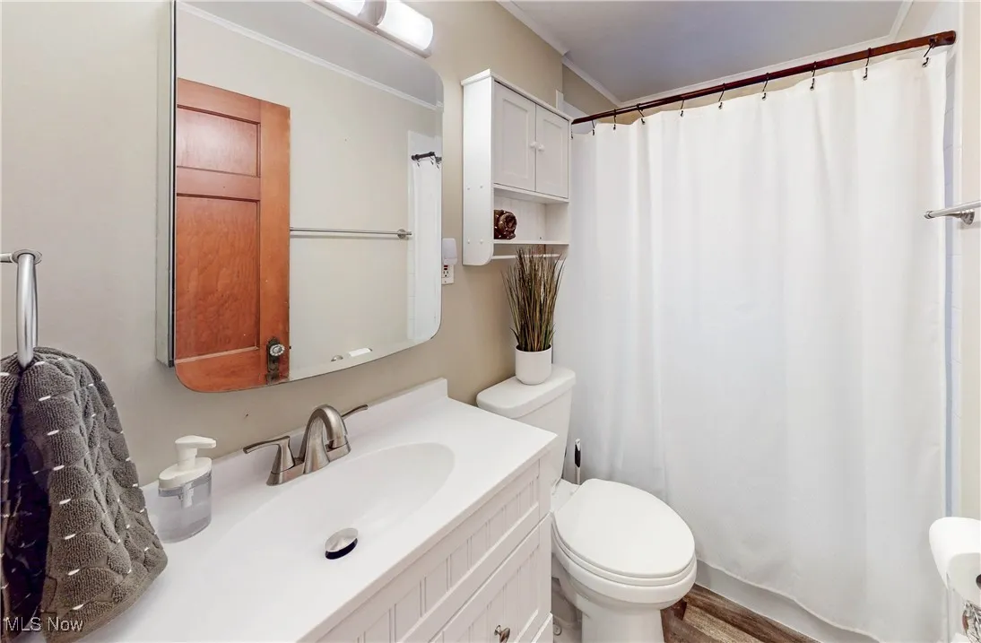 Full bath featuring a shower with shower curtain, wood finished floors, toilet, and vanity