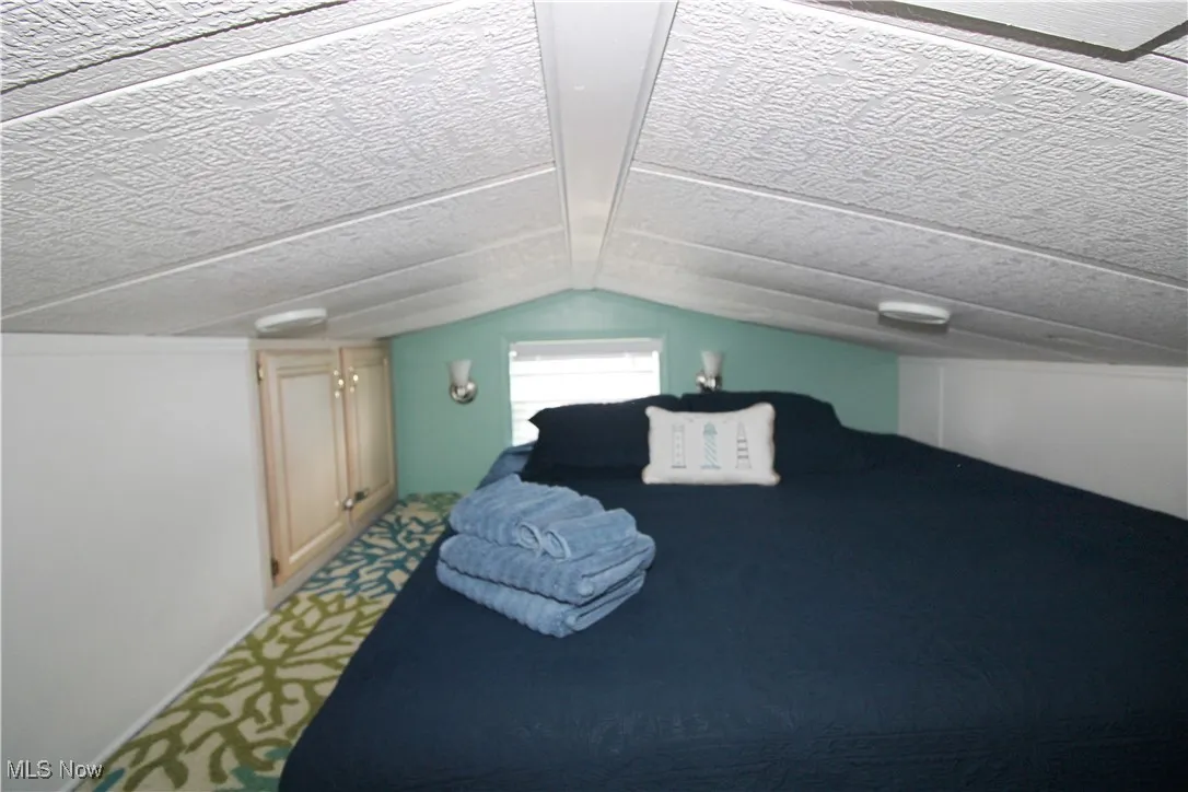Additional living space featuring lofted ceiling and carpet