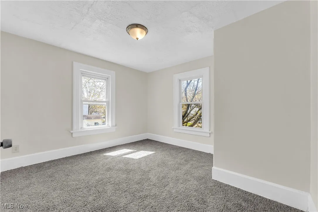 Spare room featuring plenty of natural light, baseboards, and carpet
