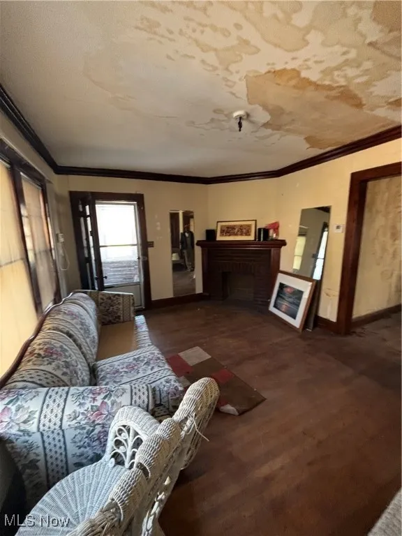 Living area featuring baseboards, ornamental molding, wood finished floors, and a fireplace