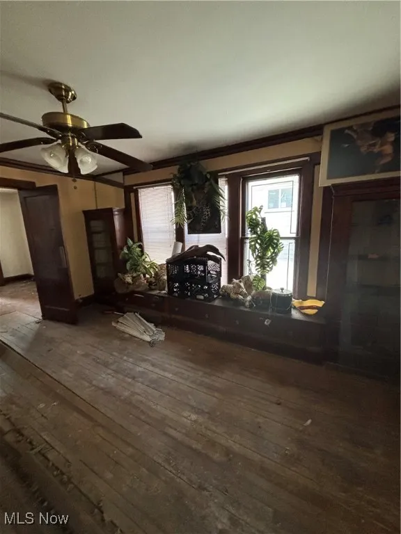 Living area featuring ornamental molding, ceiling fan, and wood-type flooring