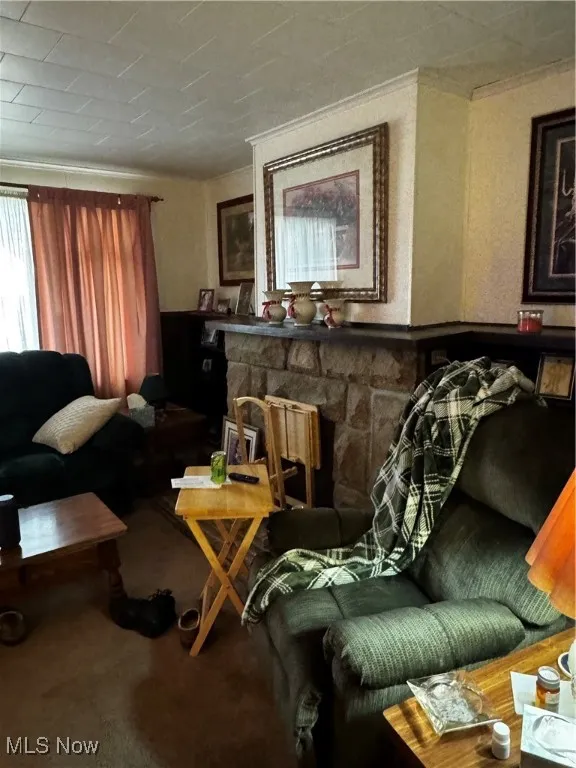 Living room with crown molding and a​​‌​​​​‌​​‌‌​‌‌​​​‌‌​‌​‌​‌​​​‌​​ fireplace