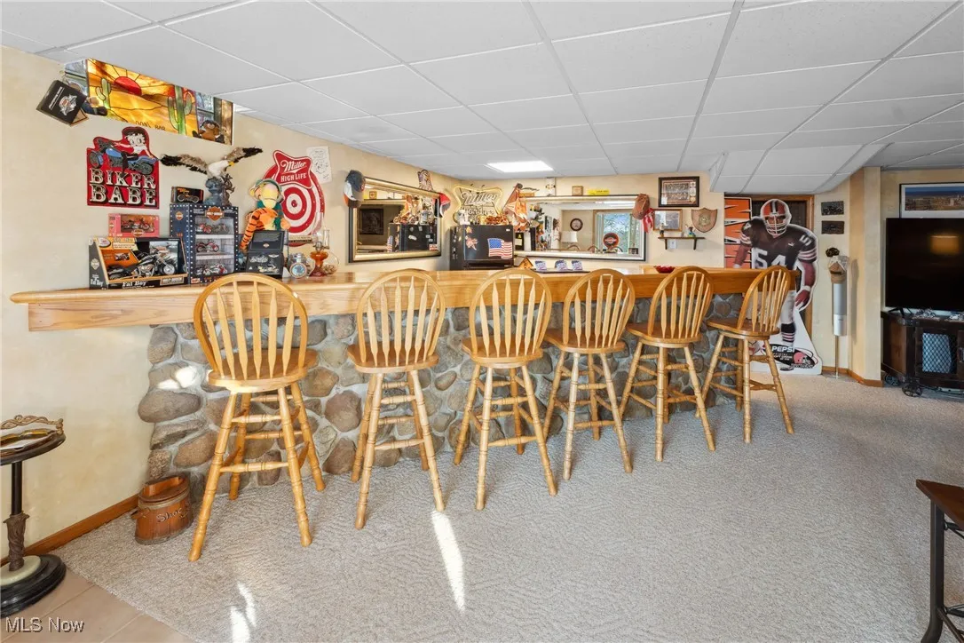Bar with a dry bar, carpet, a paneled ceiling, and baseboards