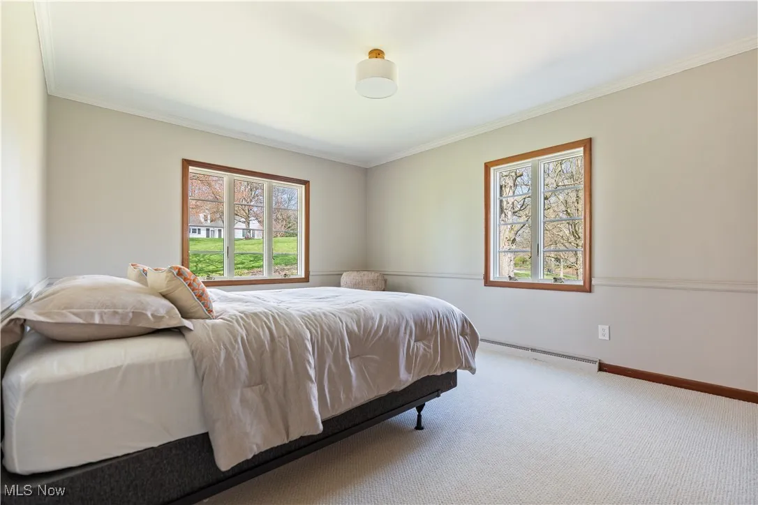 Bedroom with crown molding, baseboard heating, carpet floors, and multiple windows
