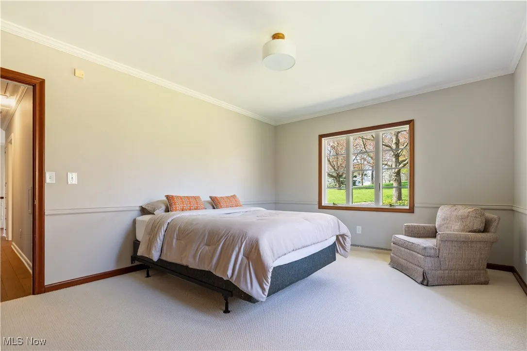 Bedroom with carpet flooring, crown molding, and baseboards