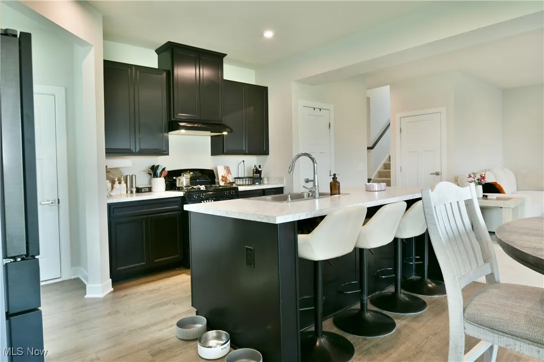 Kitchen with a sink, light wood-type flooring, black range with gas stovetop, under cabinet range hood, and refrigerator