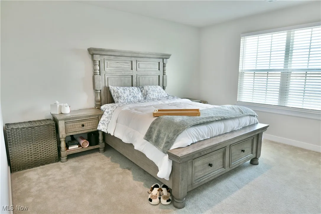 Bedroom featuring baseboards, light colored carpet, and multiple windows