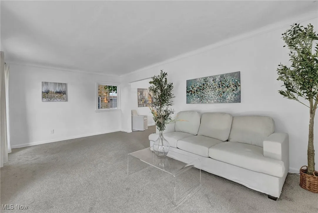 Living room featuring carpet, baseboards, and ornamental molding