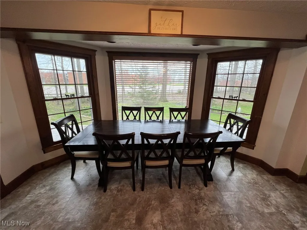Dining room featuring baseboards and a healthy amount of sunlight