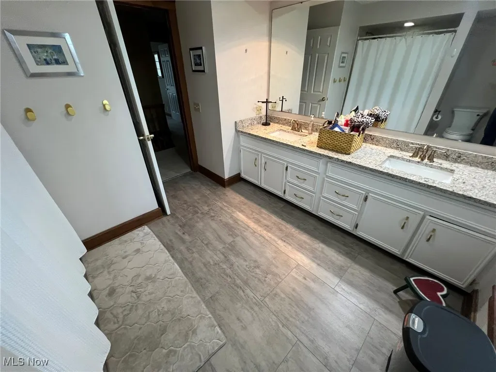 Bathroom with double vanity, toilet, wood finished floors, and a sink