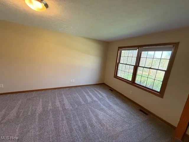 Carpeted spare room with visible vents, baseboards, and a textured ceiling