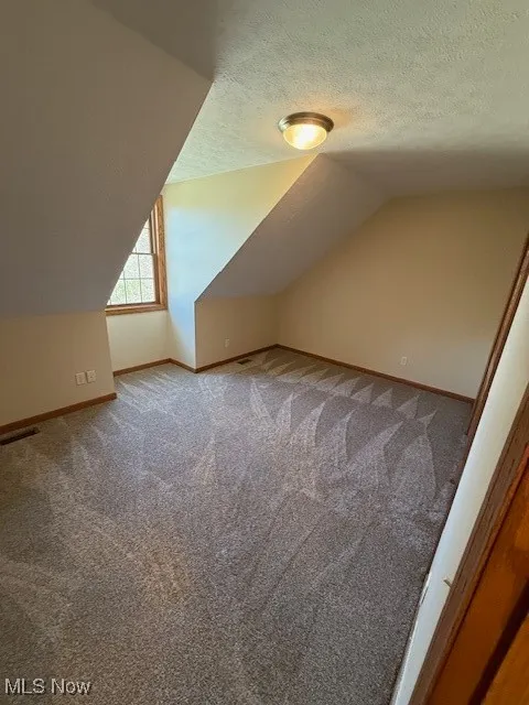 Additional living space with lofted ceiling, carpet, visible vents, baseboards, and a textured ceiling