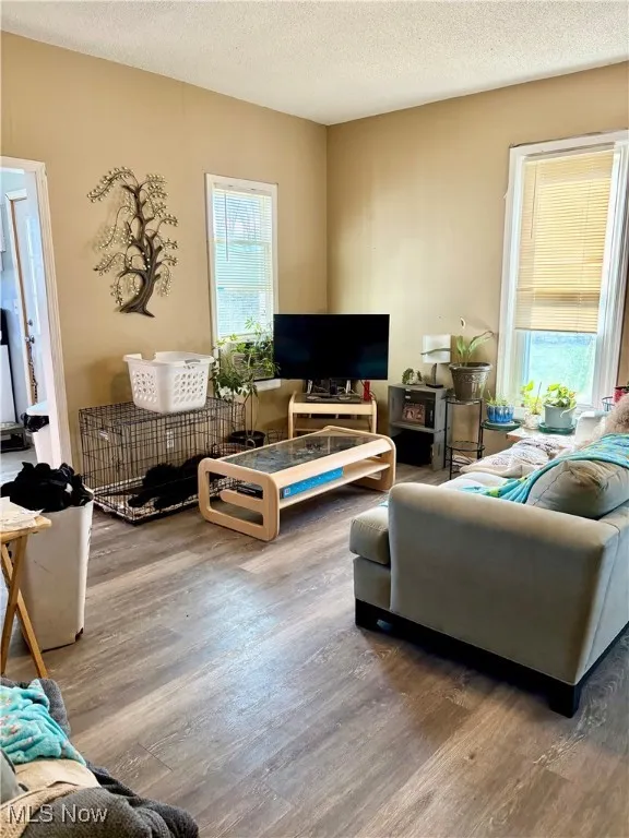 Living room featuring wood finished floors and a textured ceiling