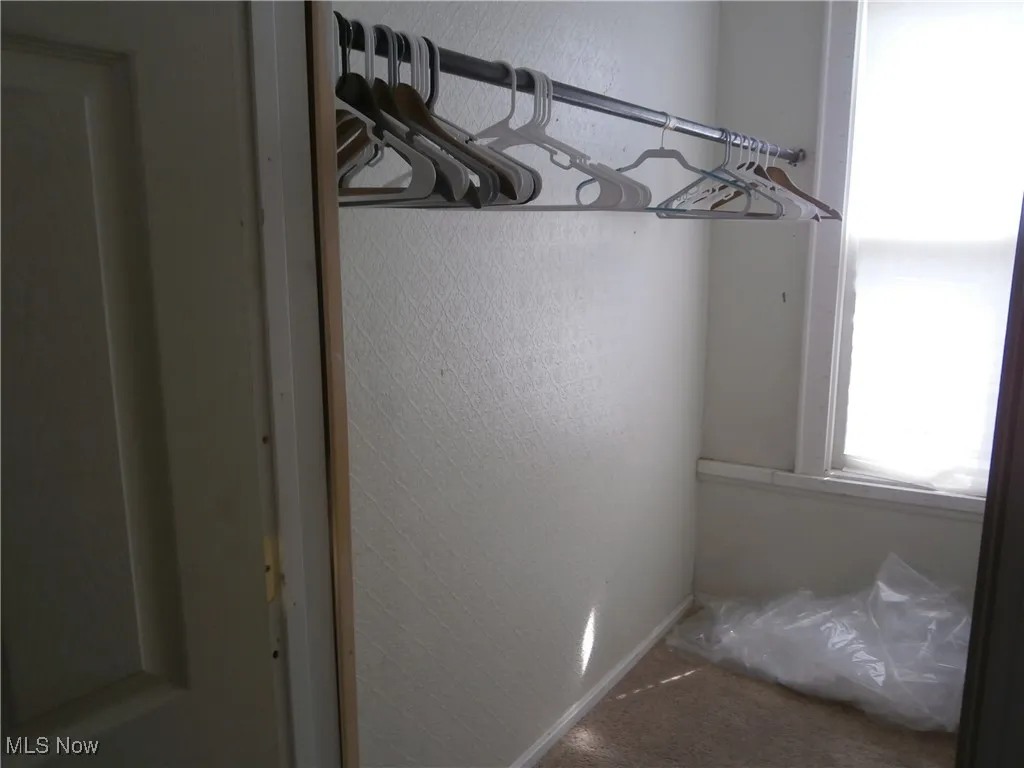 Spacious closet featuring carpet floors