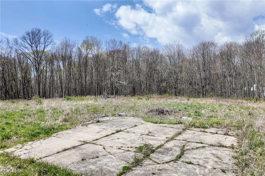 9925 King Graves Road, Warren, Ohio,MLS Now Listing ID