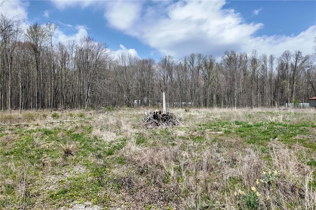 9925 King Graves Road, Warren, Ohio,MLS Now Listing ID