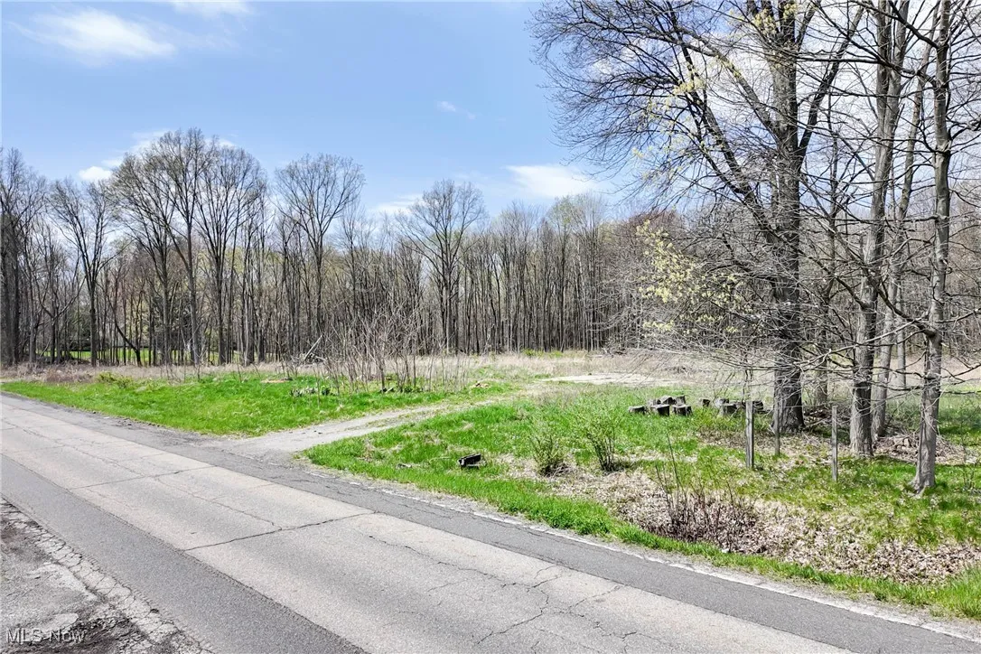 9925 King Graves Road, Warren, Ohio,MLS Now Listing ID