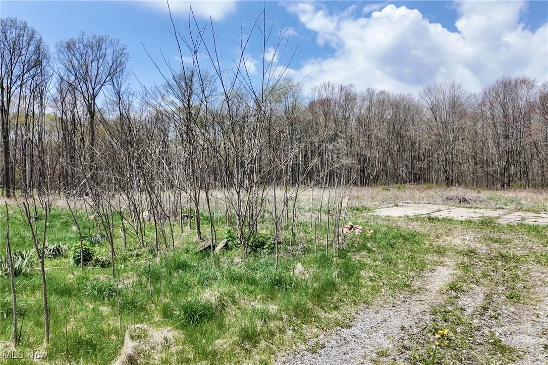 9925 King Graves Road, Warren, Ohio,MLS Now Listing ID