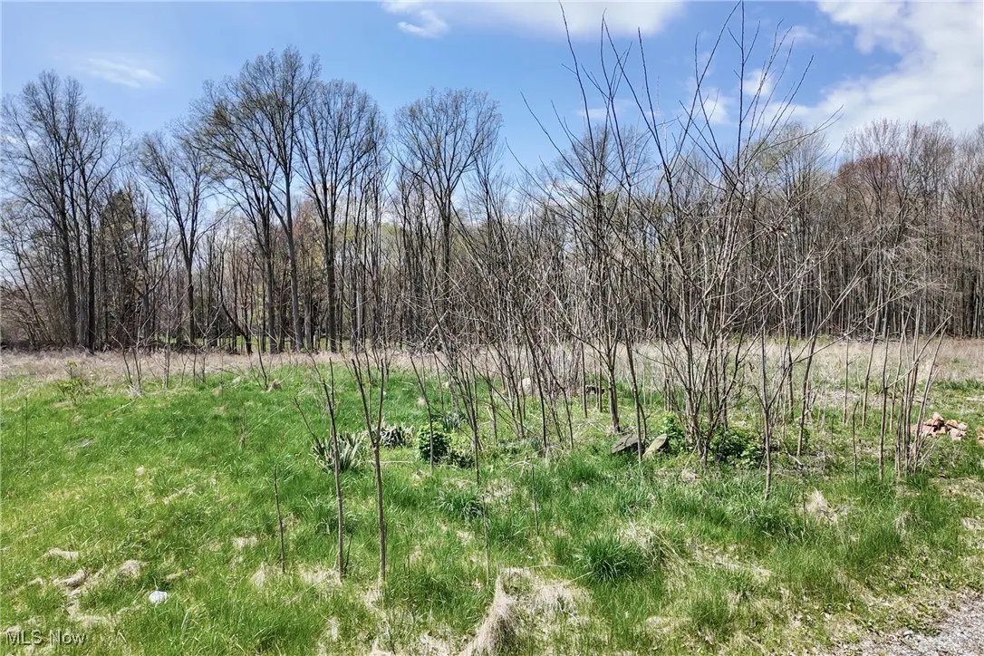 9925 King Graves Road, Warren, Ohio,MLS Now Listing ID