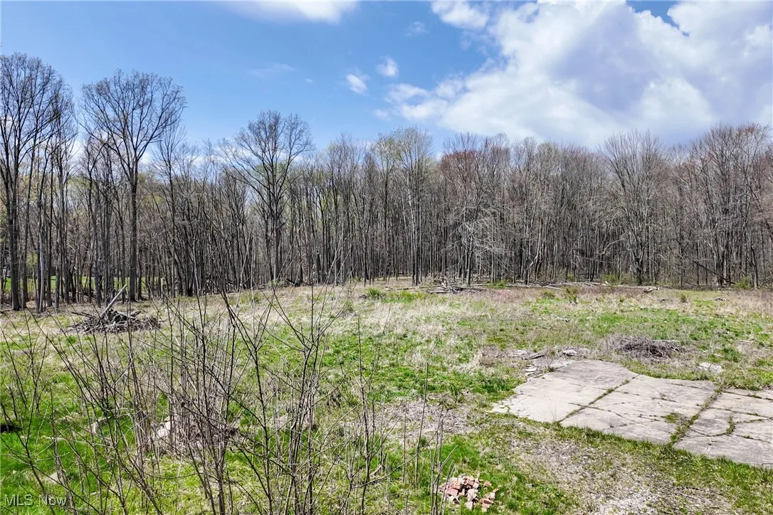 9925 King Graves Road, Warren, Ohio,MLS Now Listing ID
