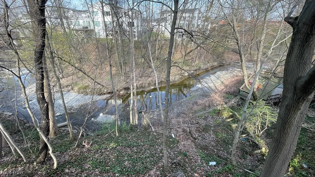creek view