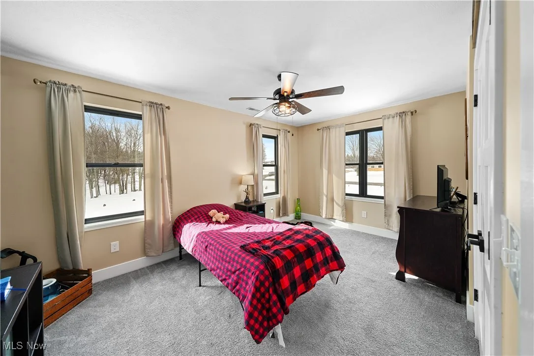 Carpeted bedroom with baseboards, a ceiling fan, and multiple windows