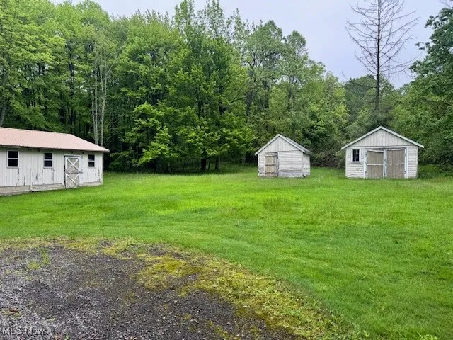 View of grassy yard with a storage shed and a view of trees