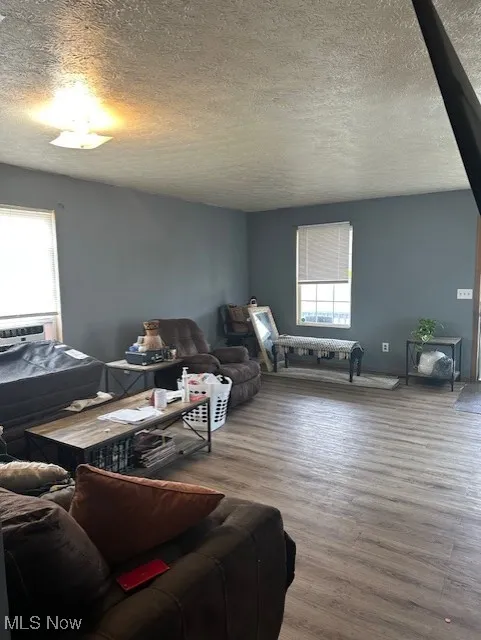 Living room with a wealth of natural light, wood finished floors, and a textured ceiling