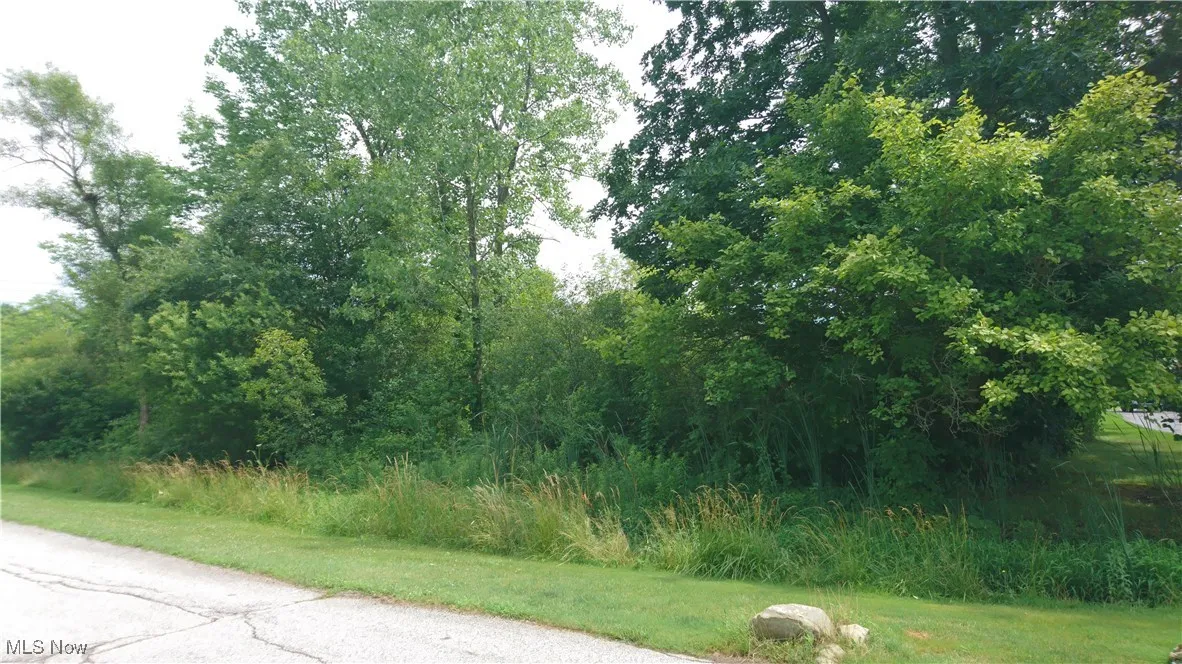 VL Palomino Trail, Kirtland, Ohio,MLS Now Listing ID