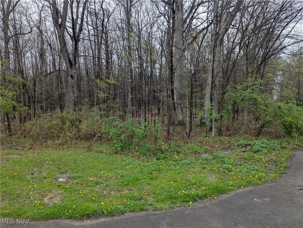 Corner Lot