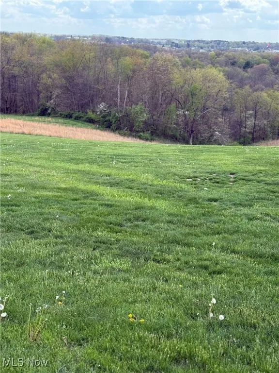 View of yard with a rural view