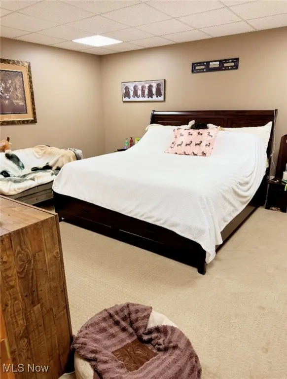 Bedroom with carpet floors