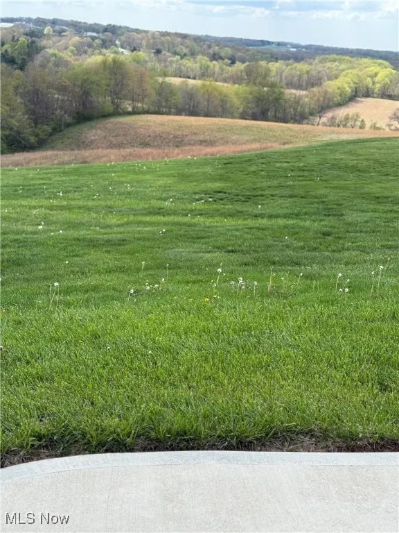 View of yard with a rural view