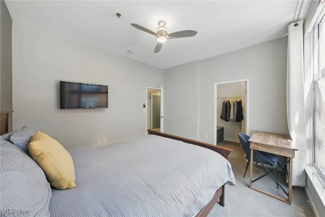 Bedroom featuring a walk in closet, carpet, a closet, and a ceiling fan