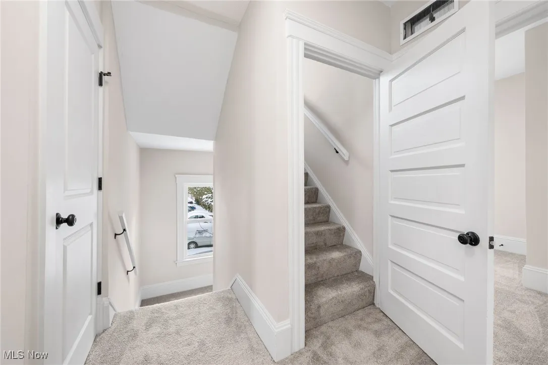Stairway with carpet