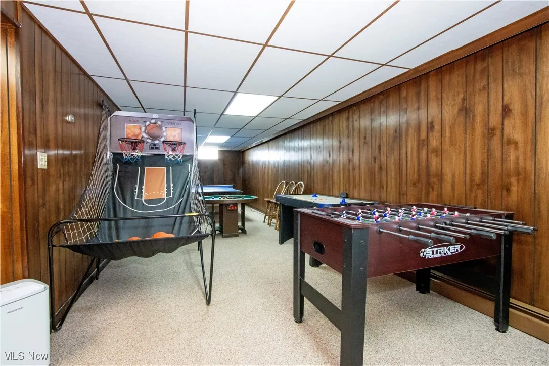 Recreation room featuring wood walls and carpet