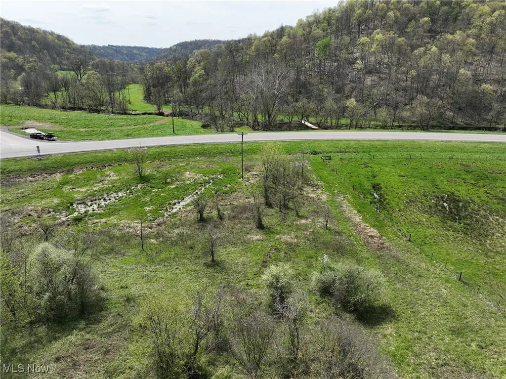 0 State Route 78, Summerfield, Ohio,MLS Now Listing ID