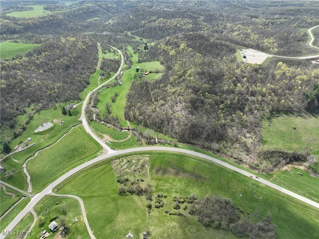 Bird's eye view with a forest view