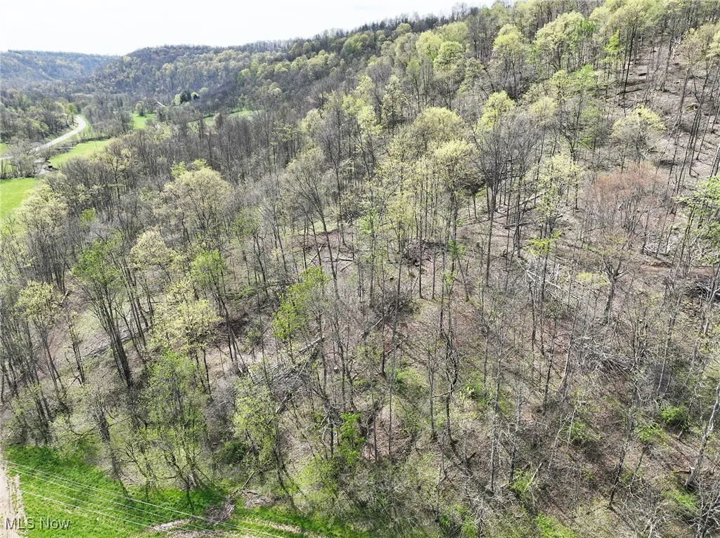Birds eye view of property with a forest view