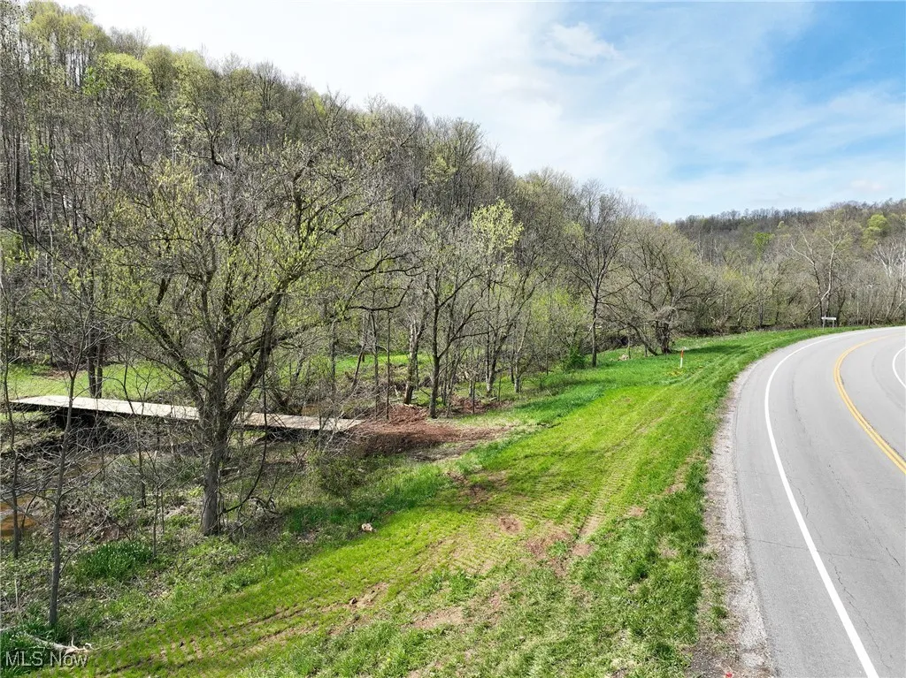 View of road featuring a forest view