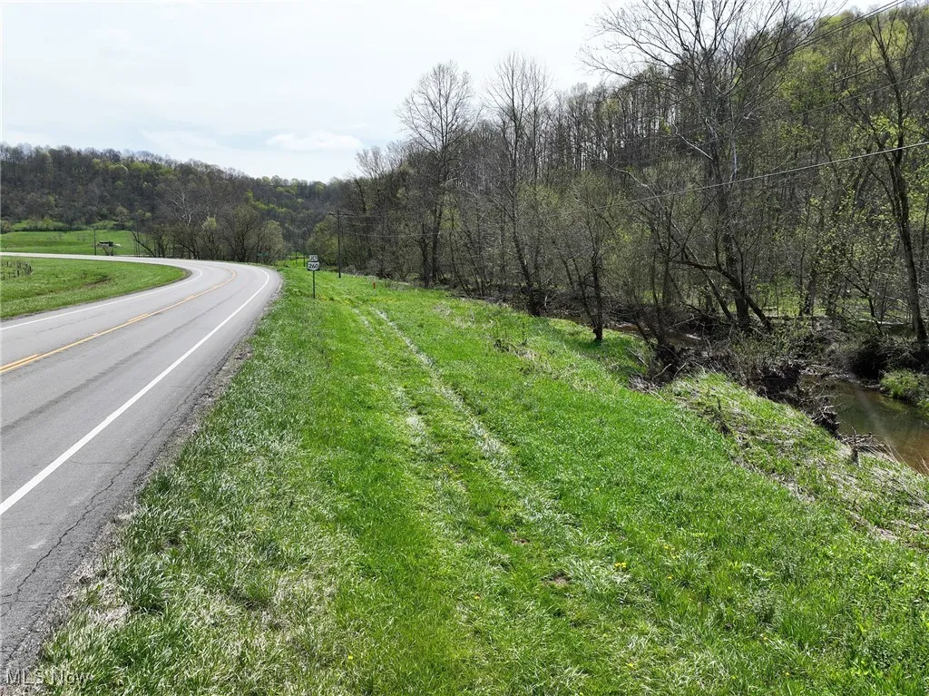 View of road featuring a forest view