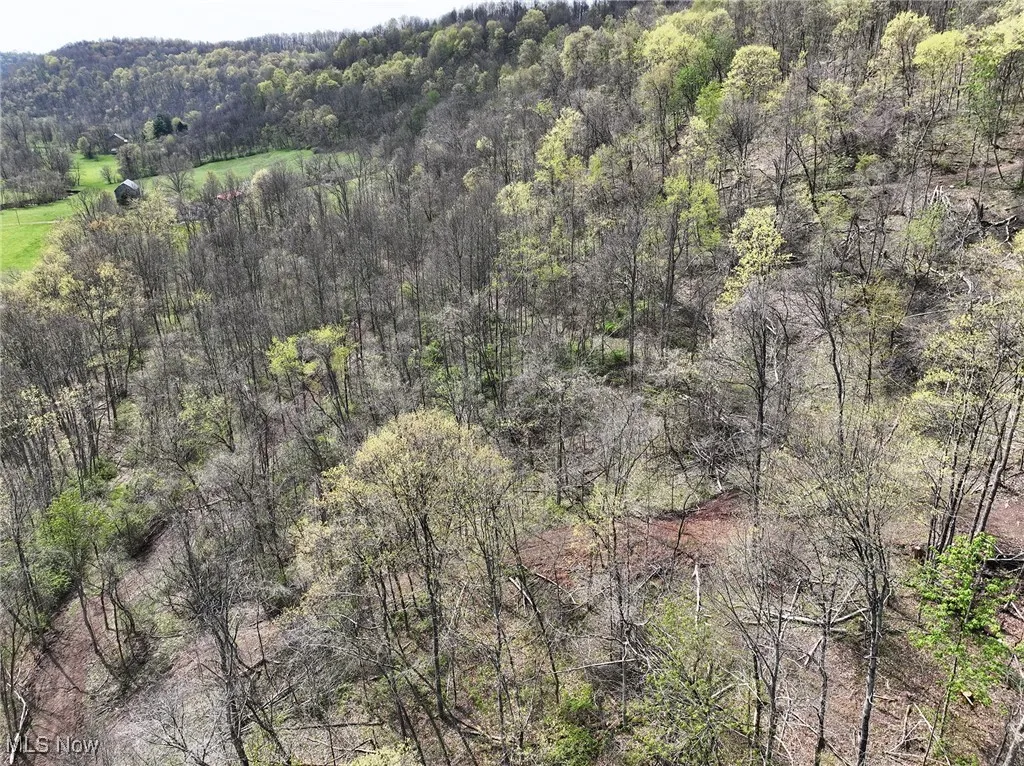 Aerial view featuring a wooded view