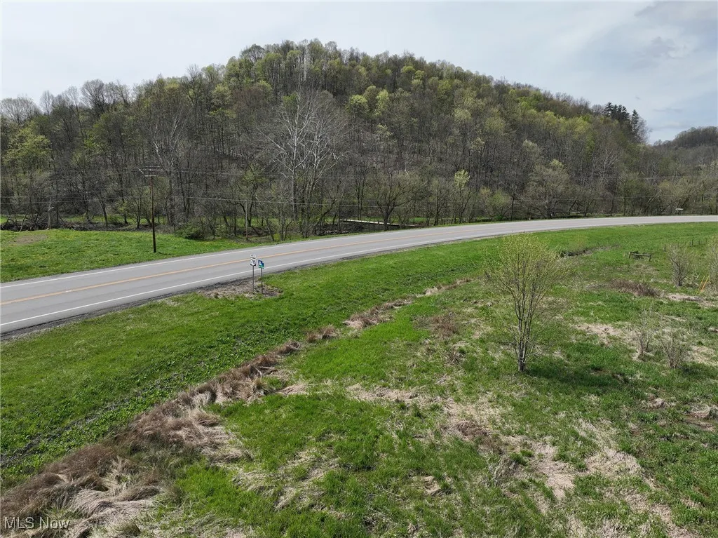 View of road featuring a forest view