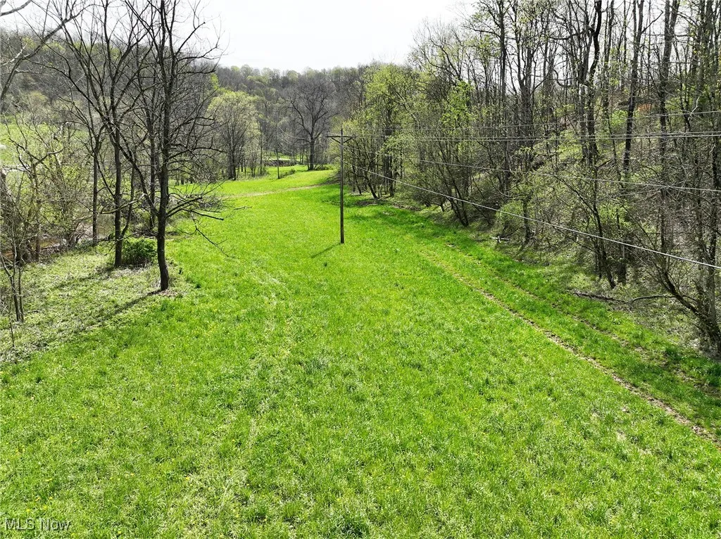 View of yard featuring a view of trees